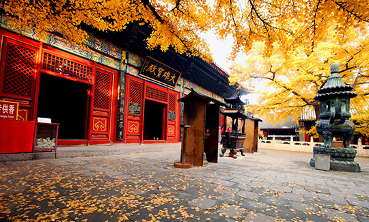 懷柔-穿軍裝/唱紅歌/嘗憶苦飯/聽紅色故事——體驗一日