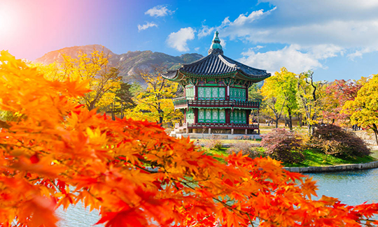 韓國旅游簽證【五年多次】