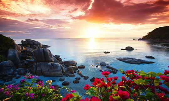 蘇梅 2-12人蘇梅島6天5晚