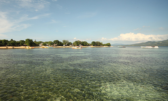 自在巴厘·五星奇遇羅威納-5晚7天
