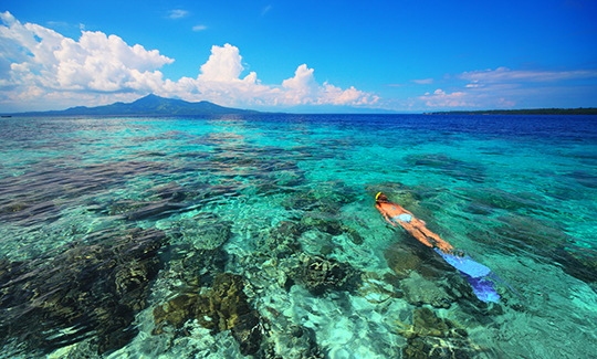 【自在巴厘·五星奇遇羅威納】5晚7天