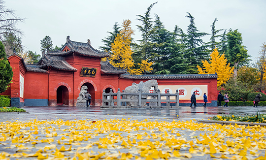 洛陽+白馬寺+龍門石窟+少林寺-雙臥四日臥高3日