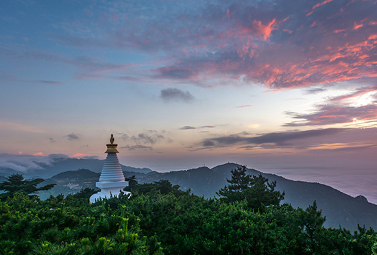 老年團·廬山-景德鎮瑤里-婺源-三清山-南昌滕王閣·雙動8日