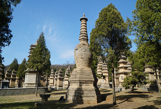 洛陽牡丹-龍門石窟-洛邑古城-少林寺-清明上河園-小宋城-云臺山雙臥五日/雙高4日